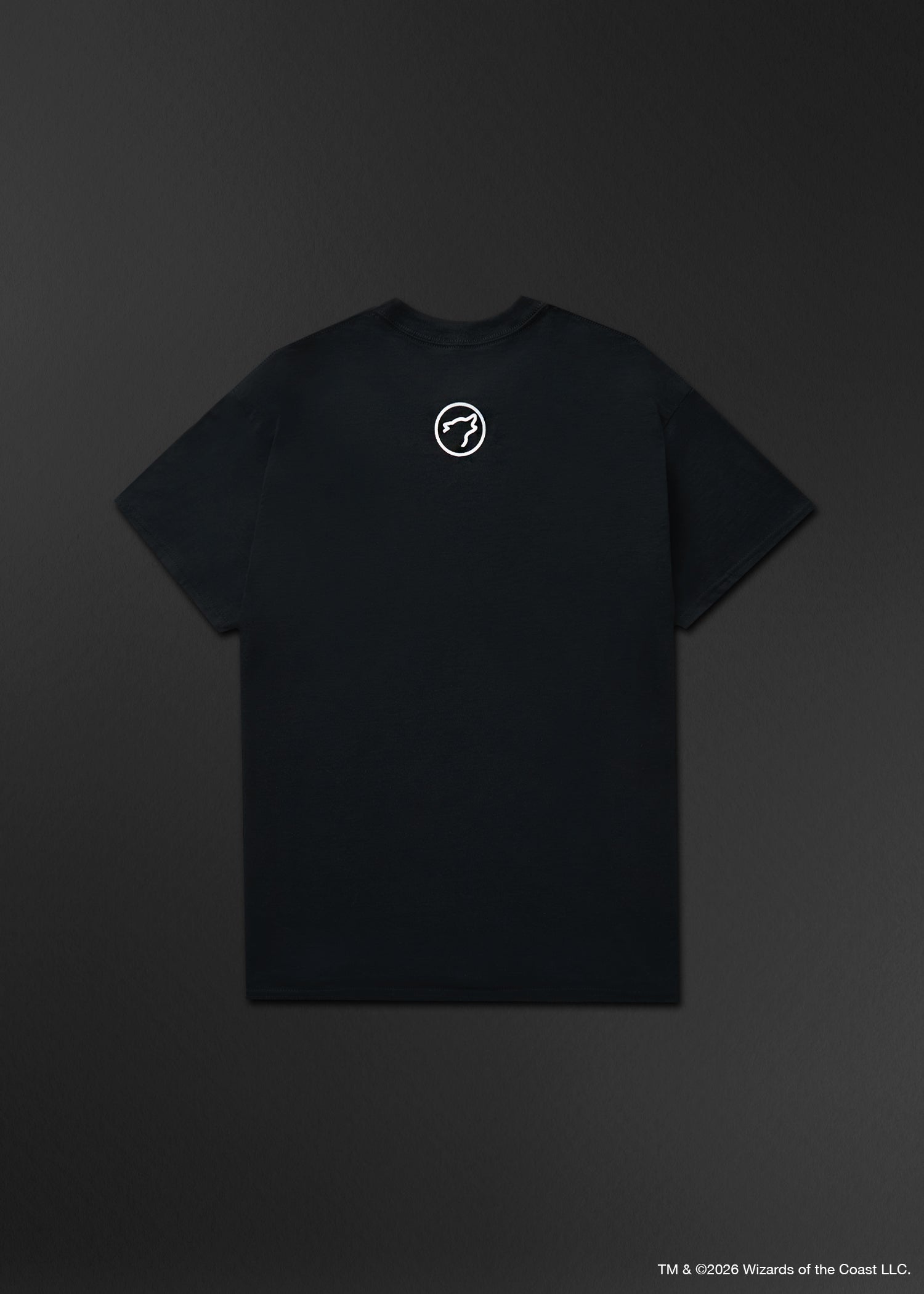 Dungeons and Dragons Secrets Graphic T-Shirt