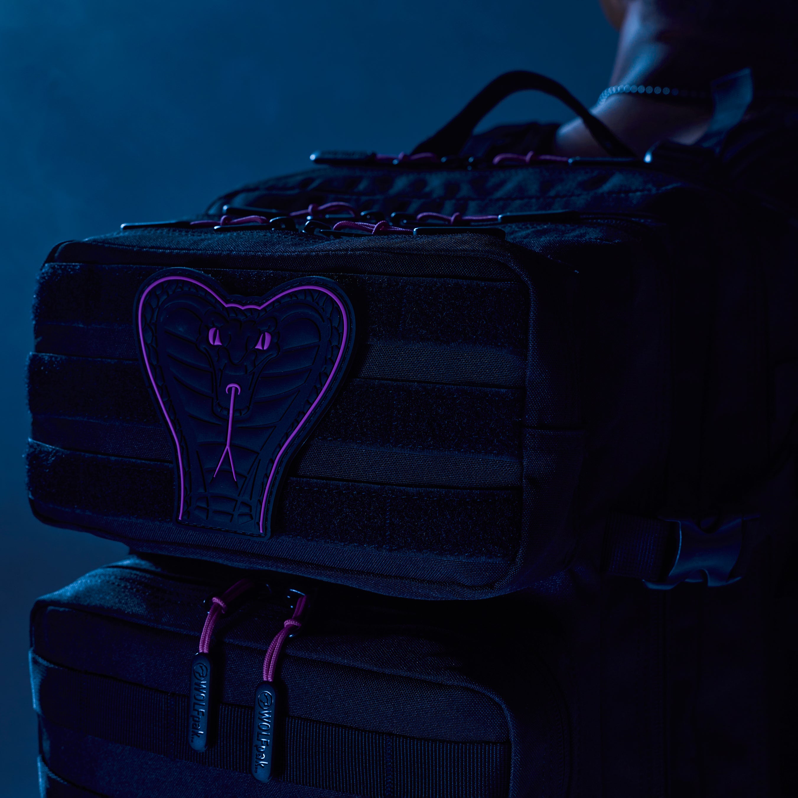 45L Backpack Purple Venom PREVIEW