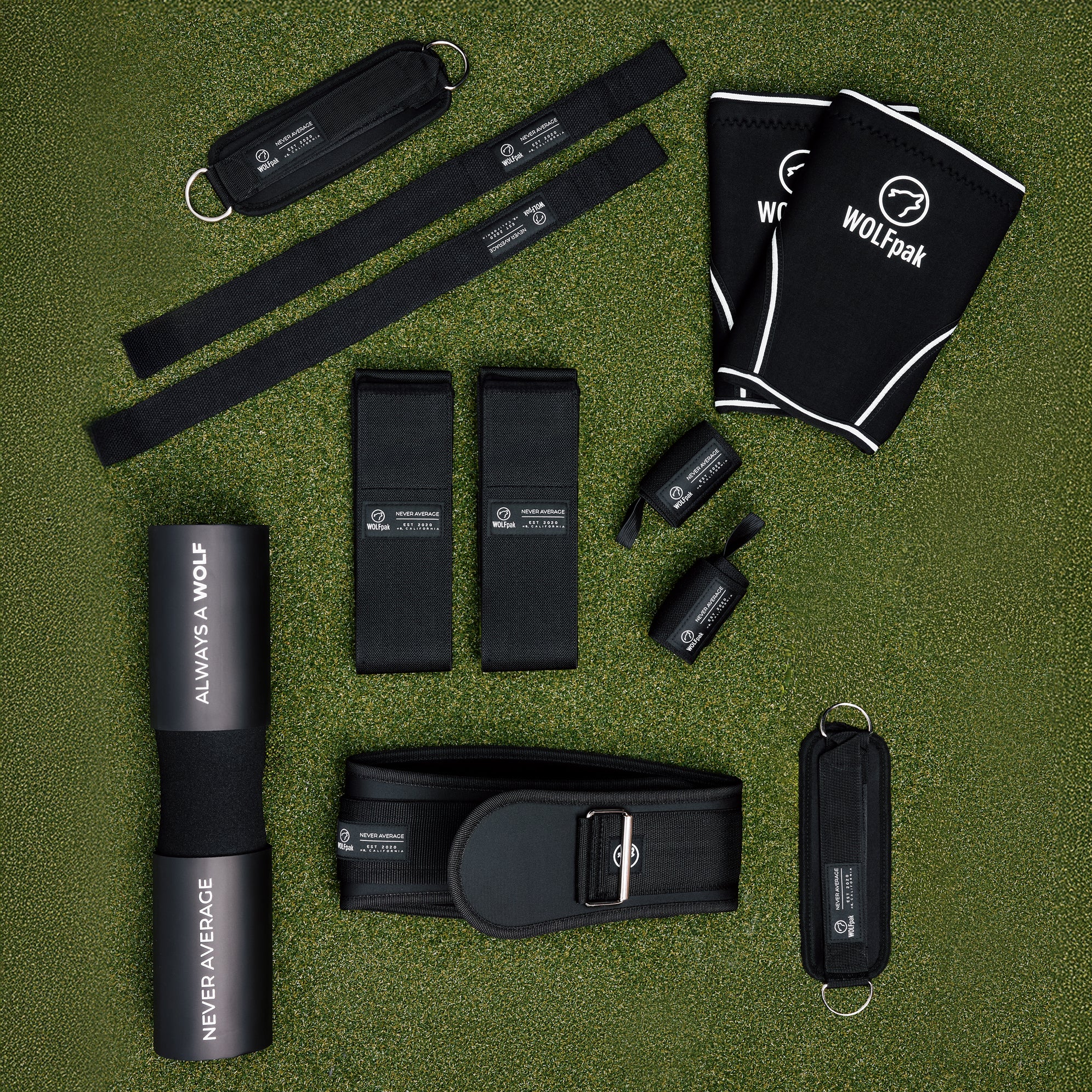 Training Essentials Bundle