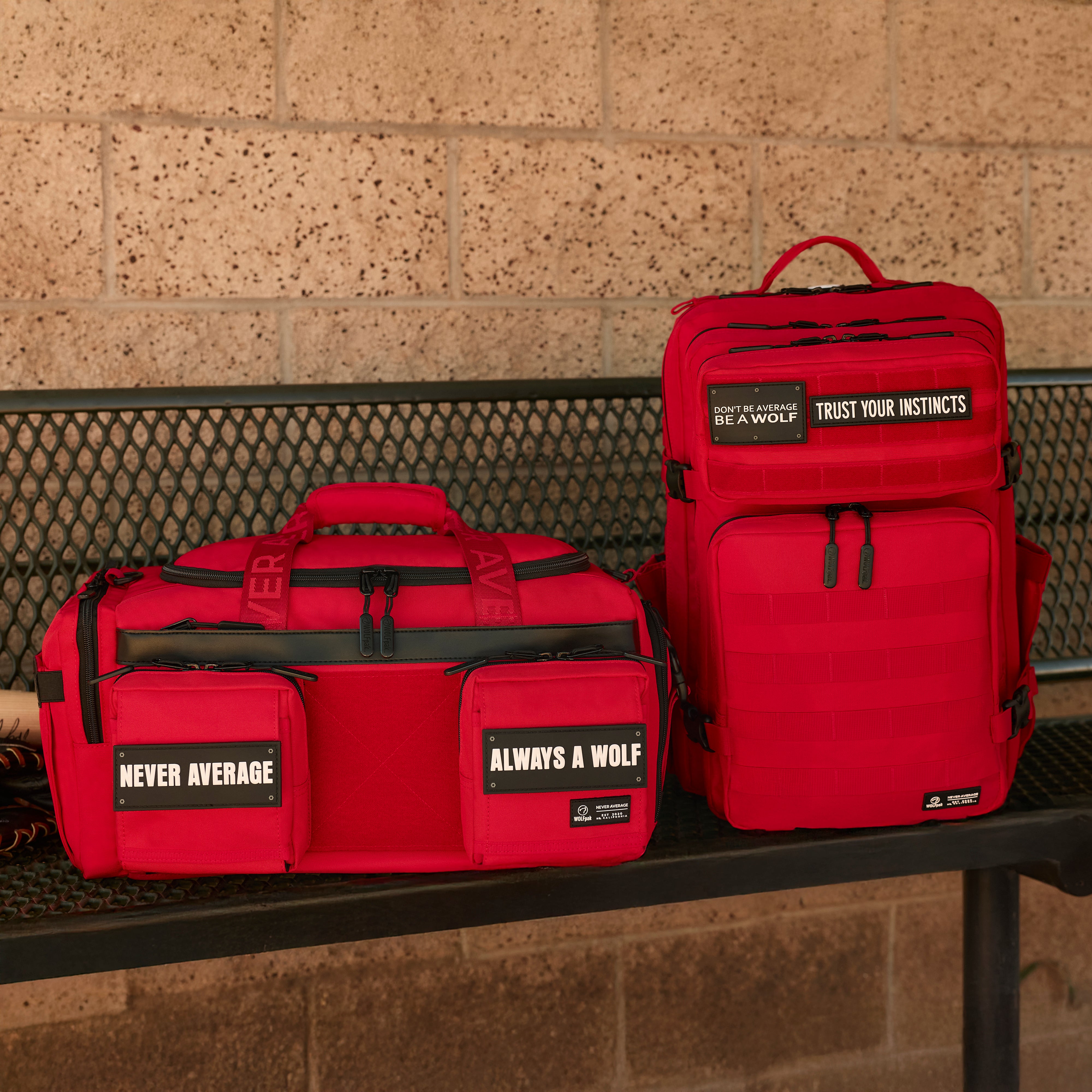 Dugout Essentials Bundle