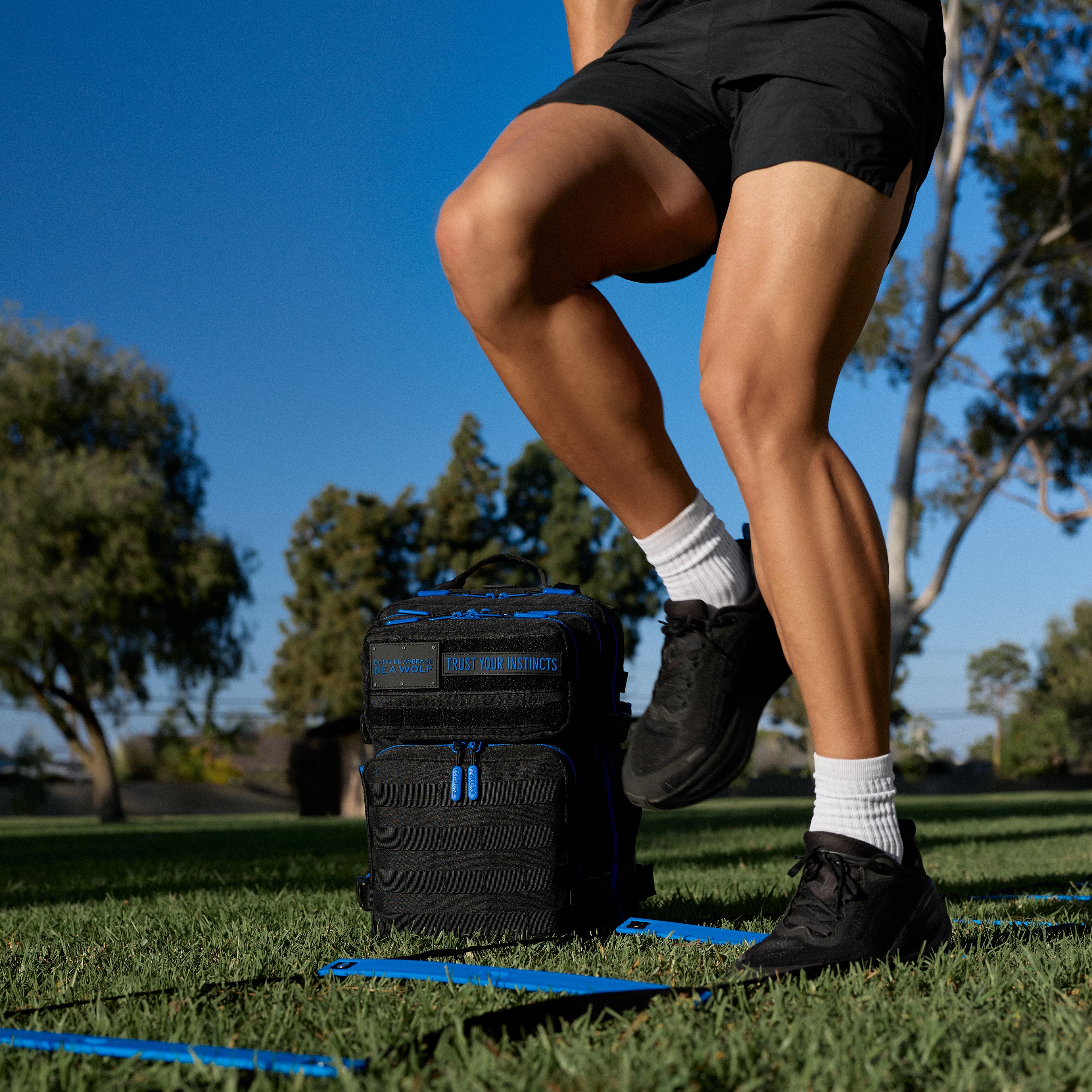 25L Backpack Blue Wolf PREVIEW