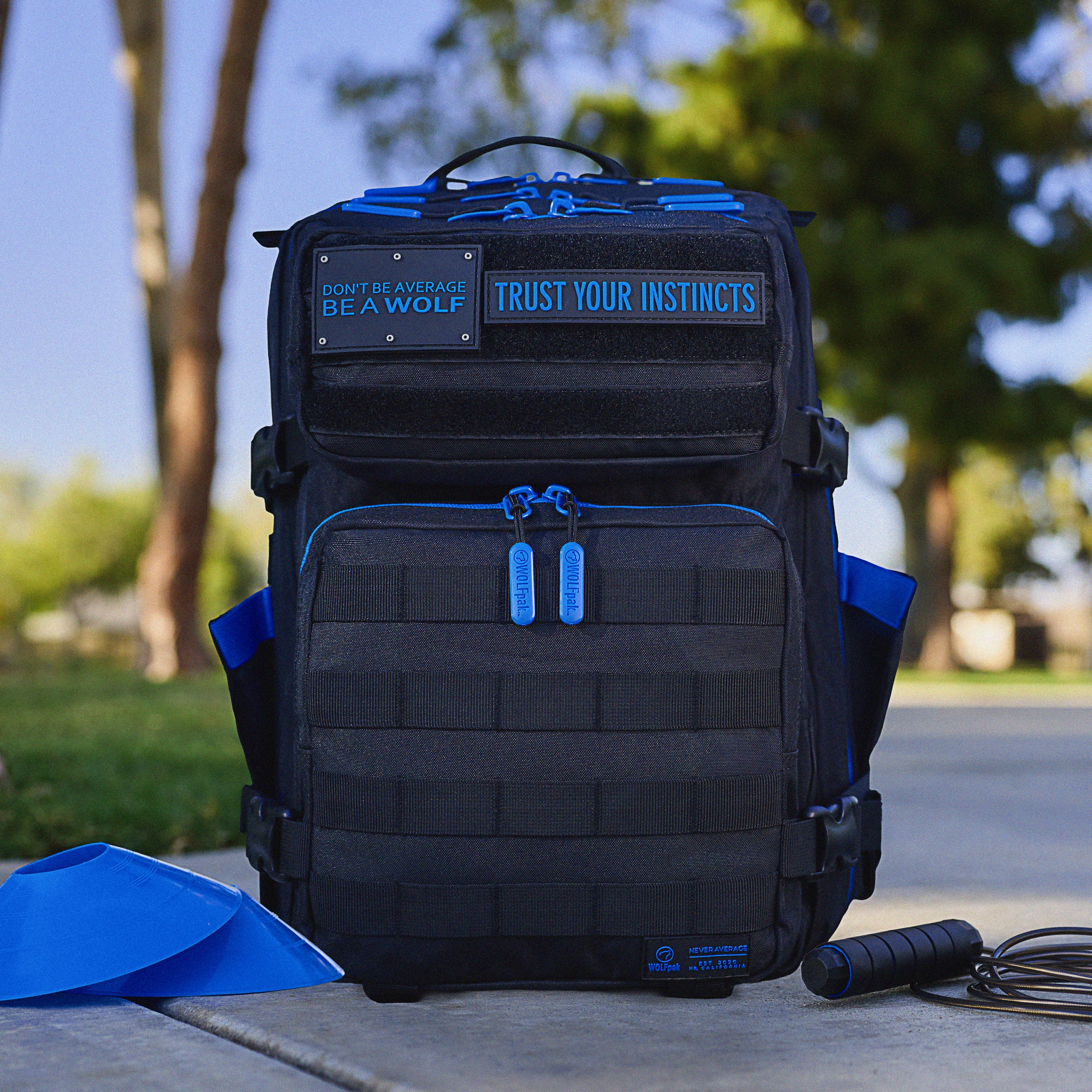 【美品】WOLFpak 25L Backpack Blue ウルフパック 25L Backpack Blue Wolf