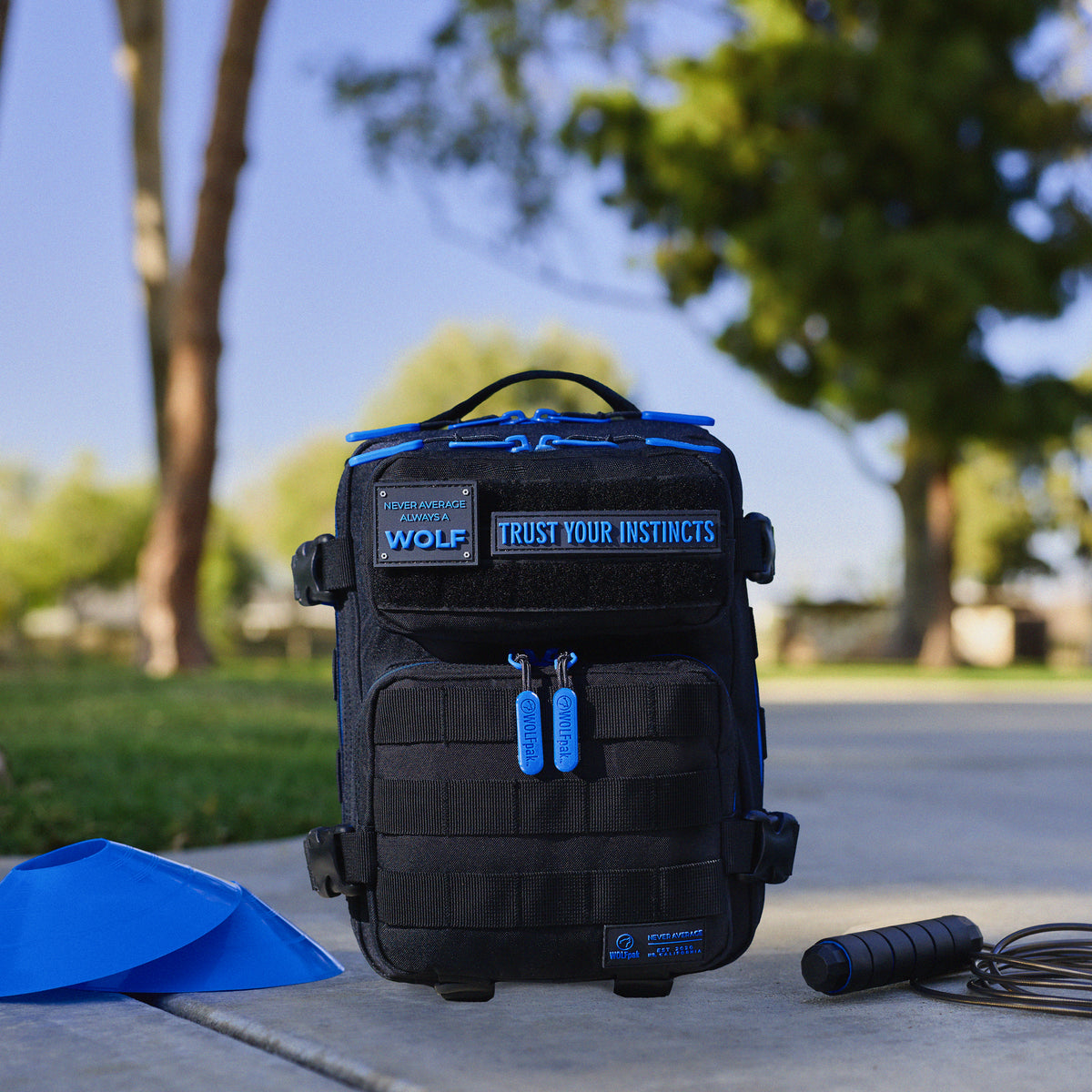 9L Backpack Mini Blue Wolf