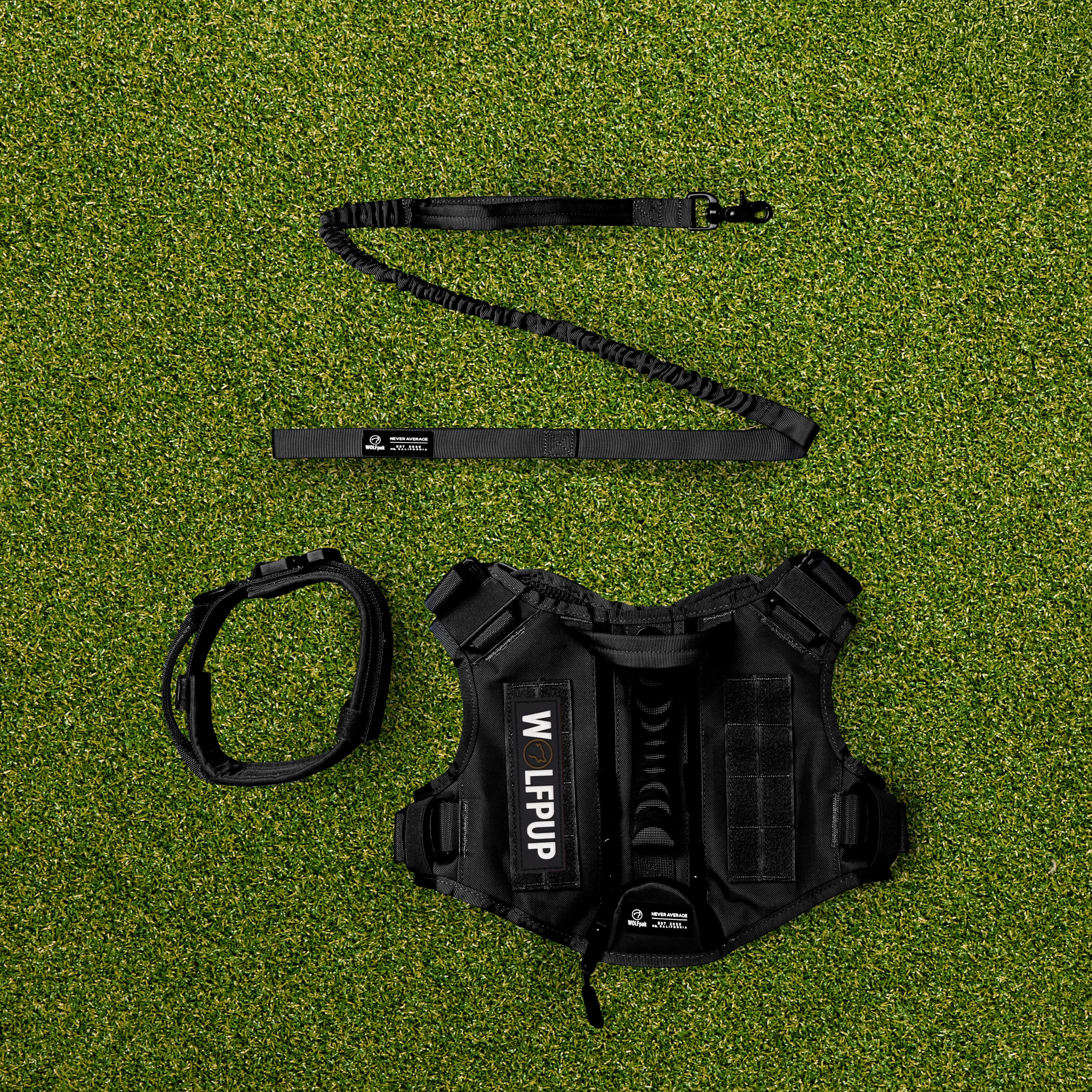 WOLFpup Bundle Black