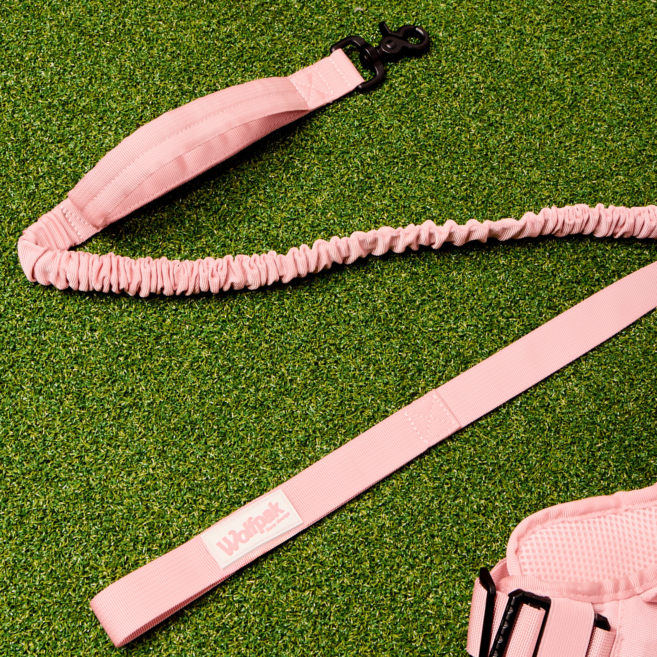 WOLFpup Bundle Dream Pink