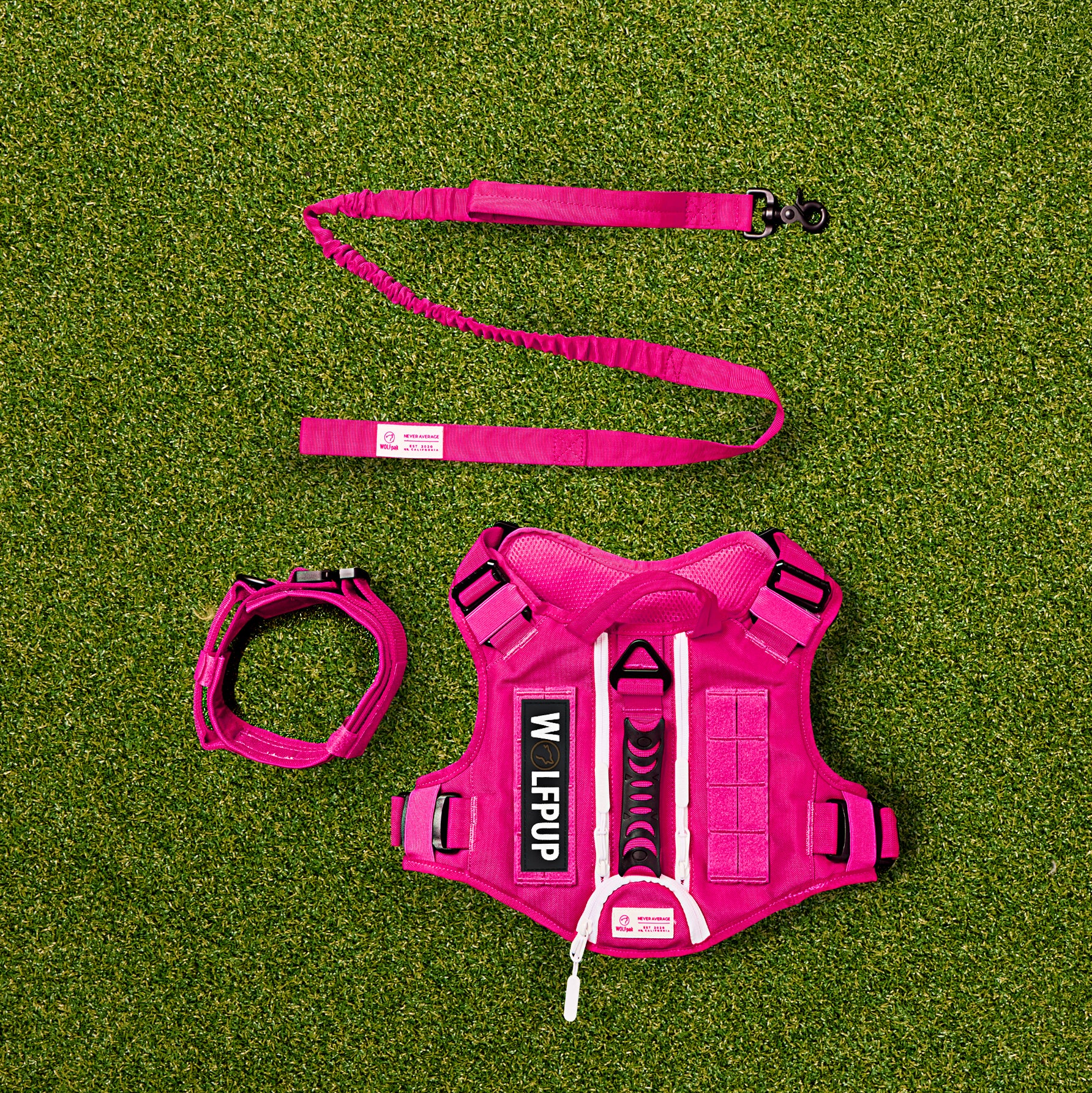 WOLFpup Bundle Pink Goddess