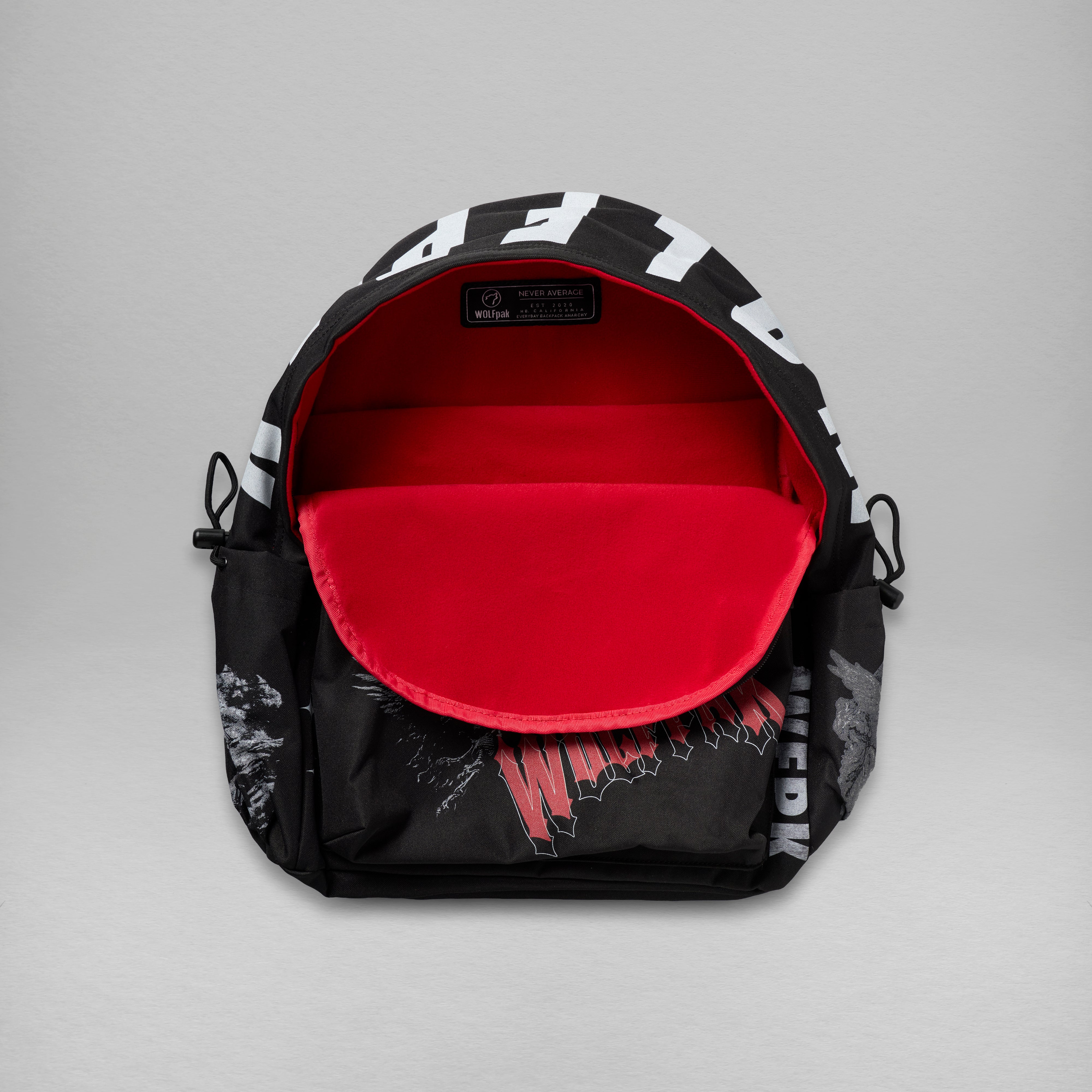 25L Everyday Anarchy Lined Backpack