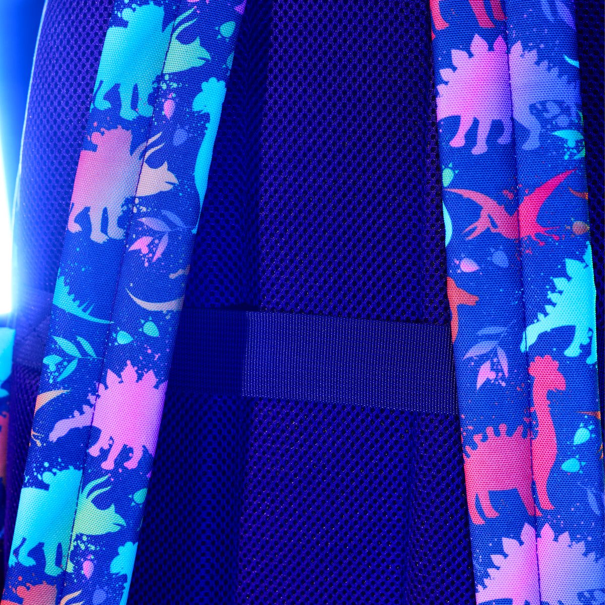 25L Everyday Backpack Neon Dino