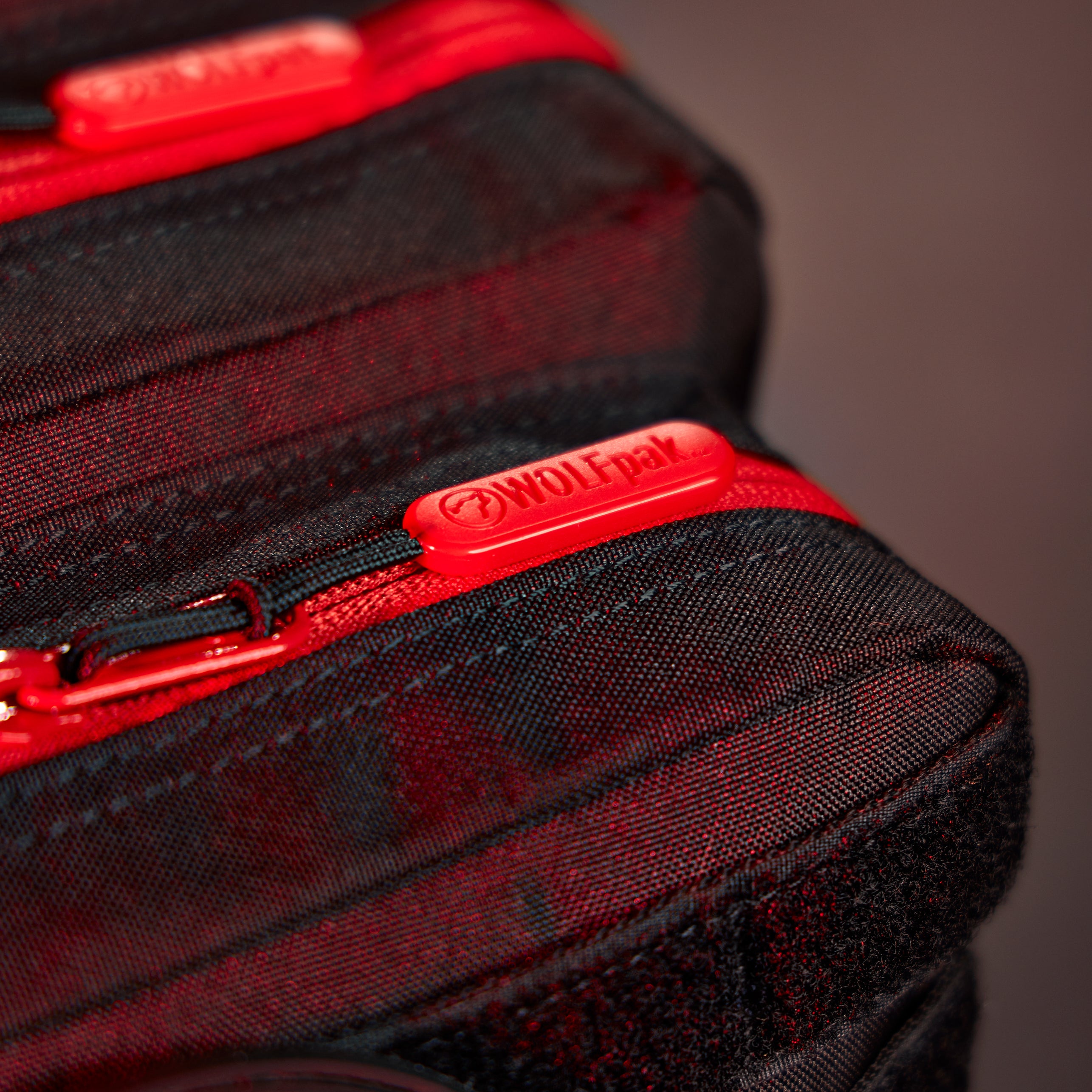 25L Backpack Dragon's Lair