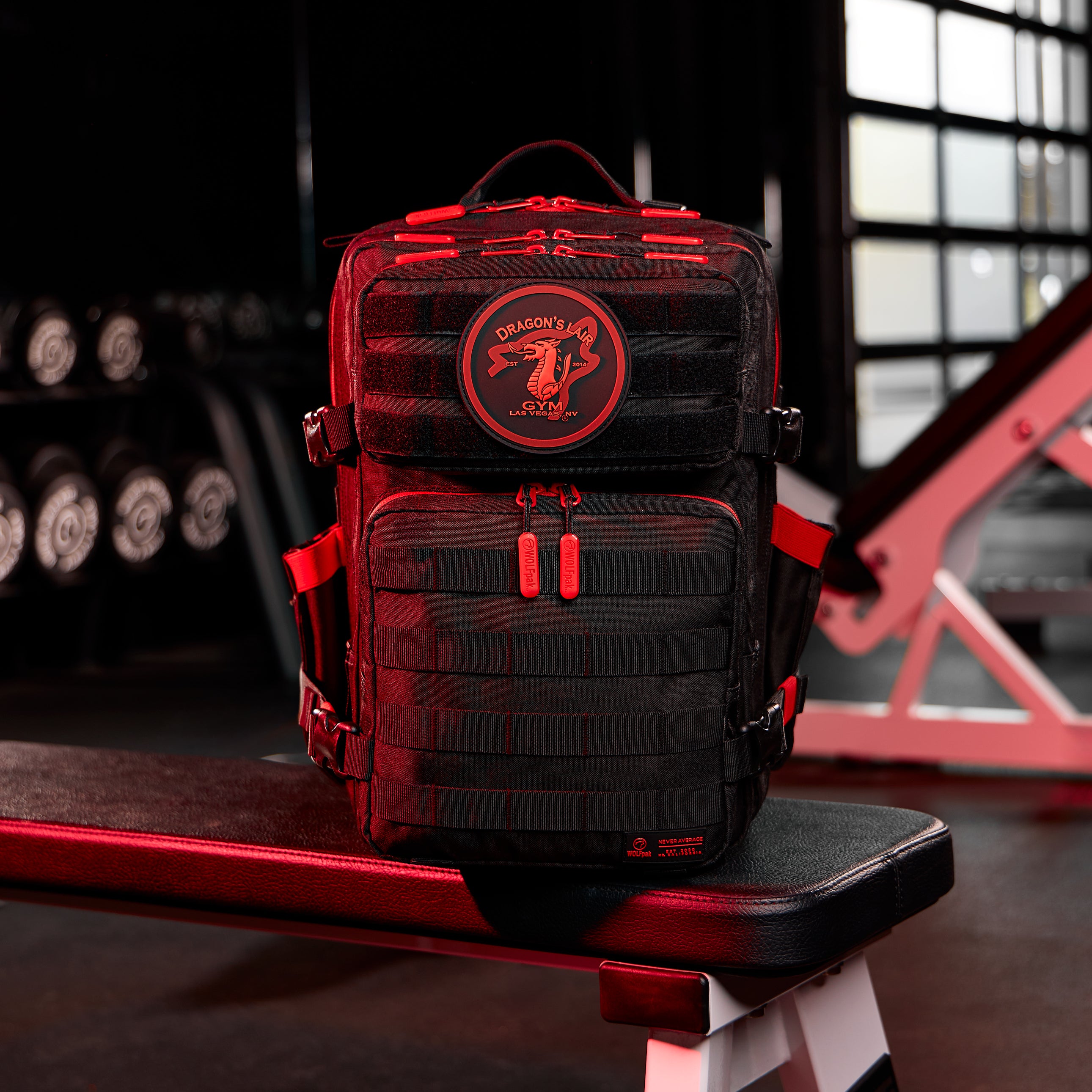 25L Backpack Dragon's Lair