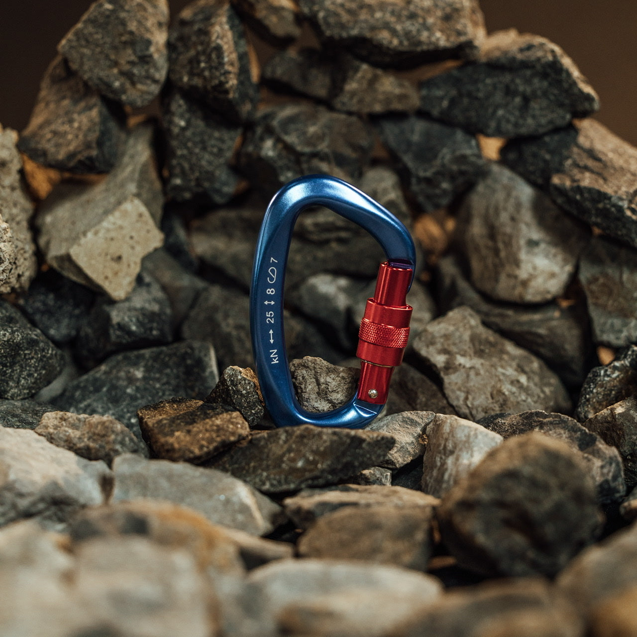 Accessory Carabiner Blue & Red