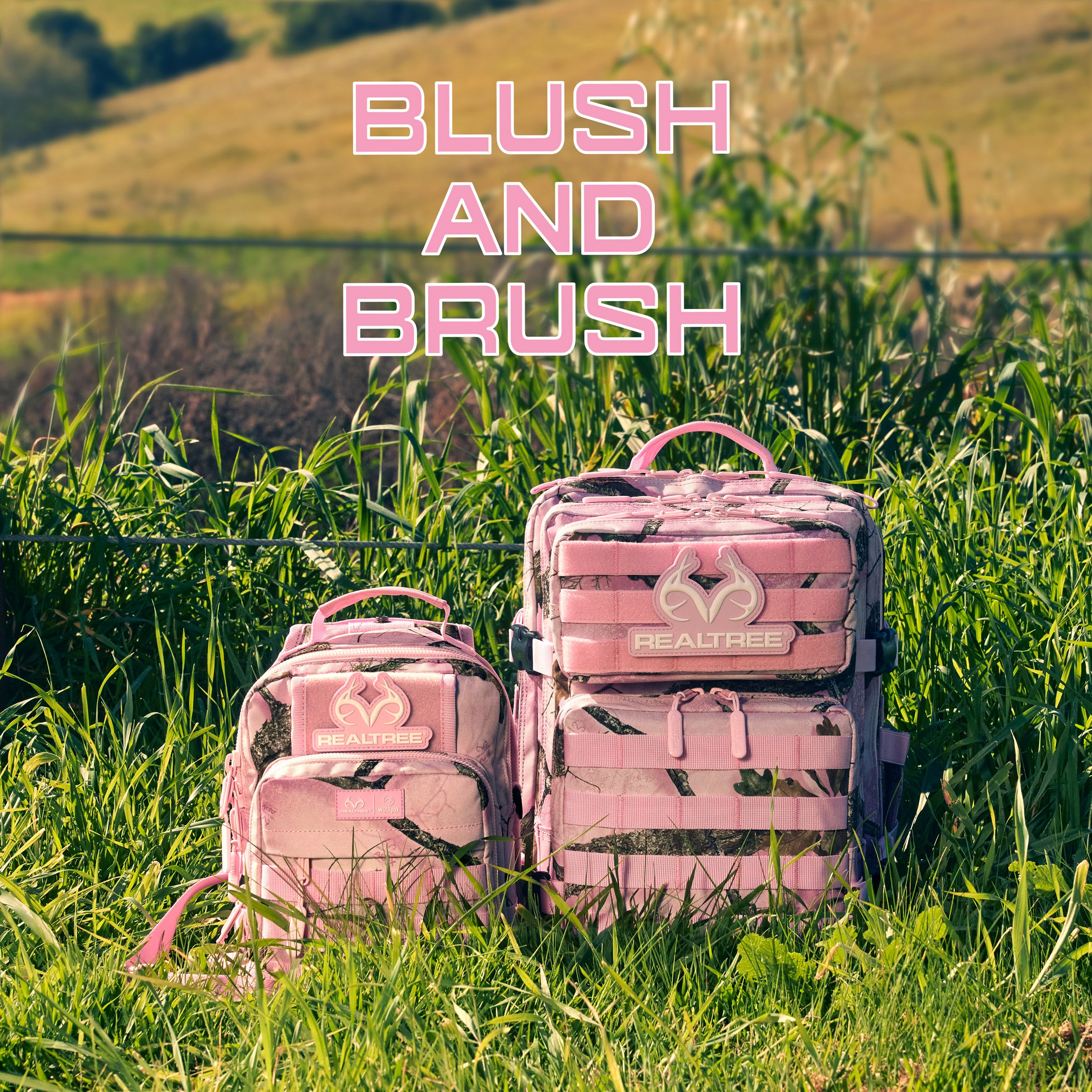 Blush & Brush Bundle