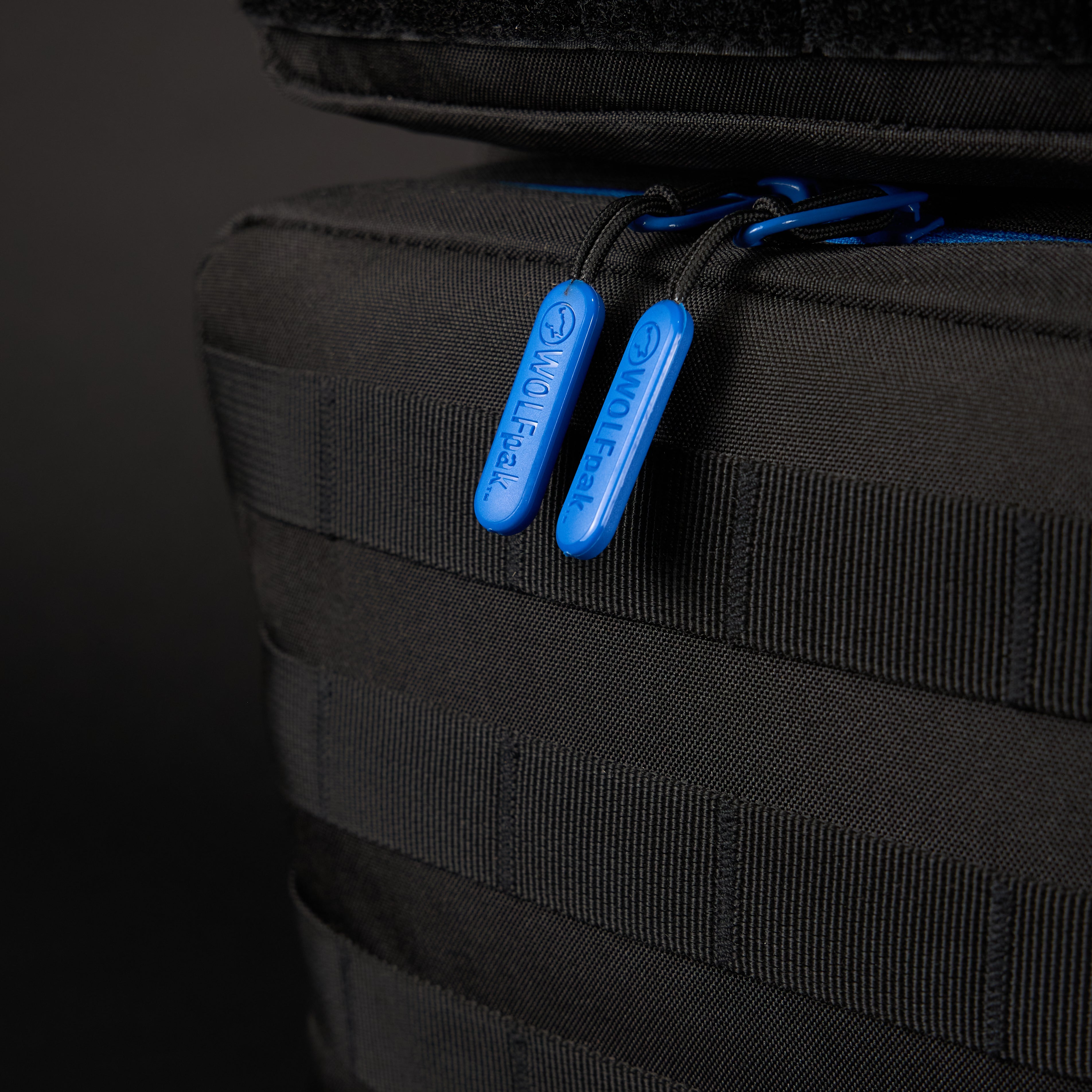 45L Backpack Blue Wolf