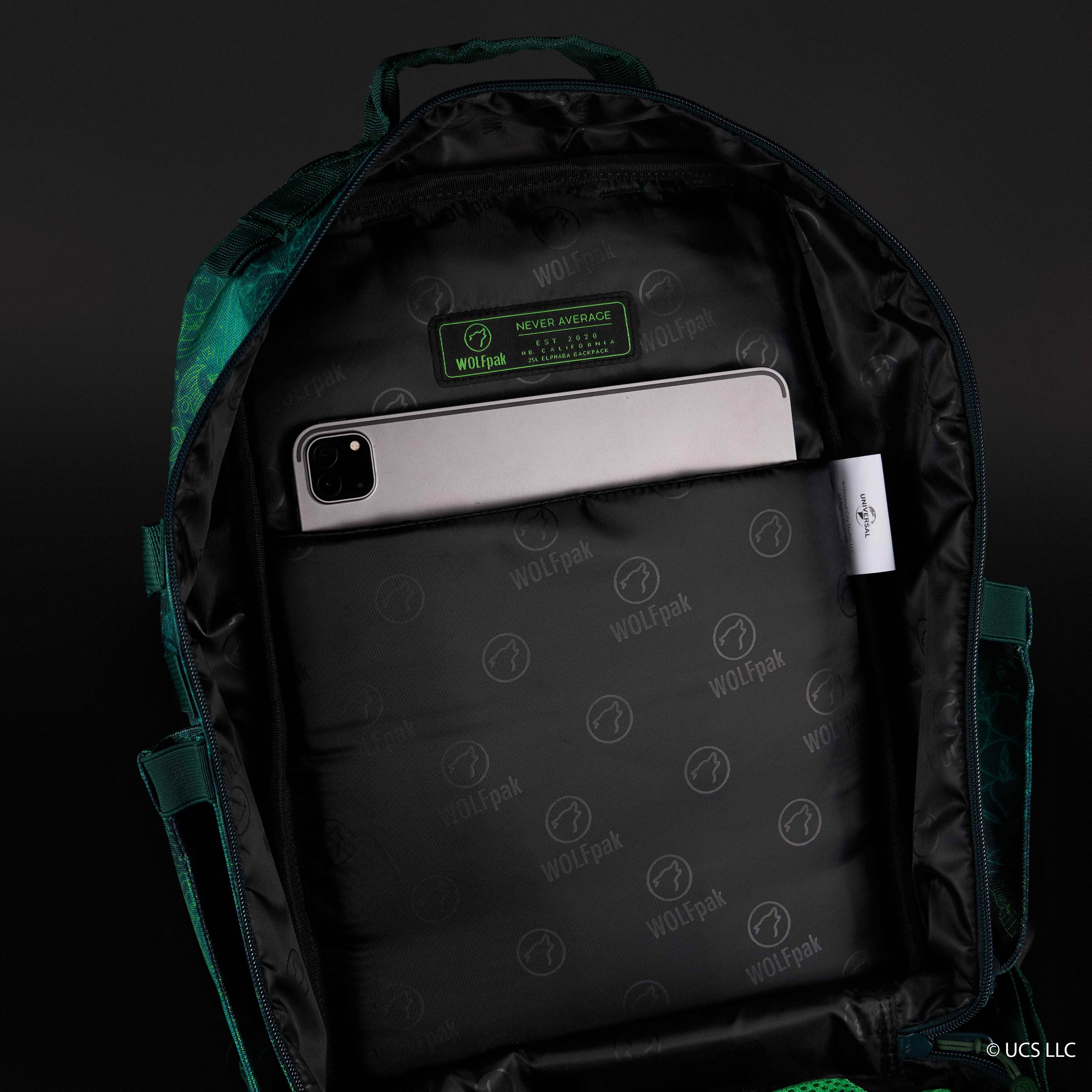 25L Backpack WICKED Elphaba