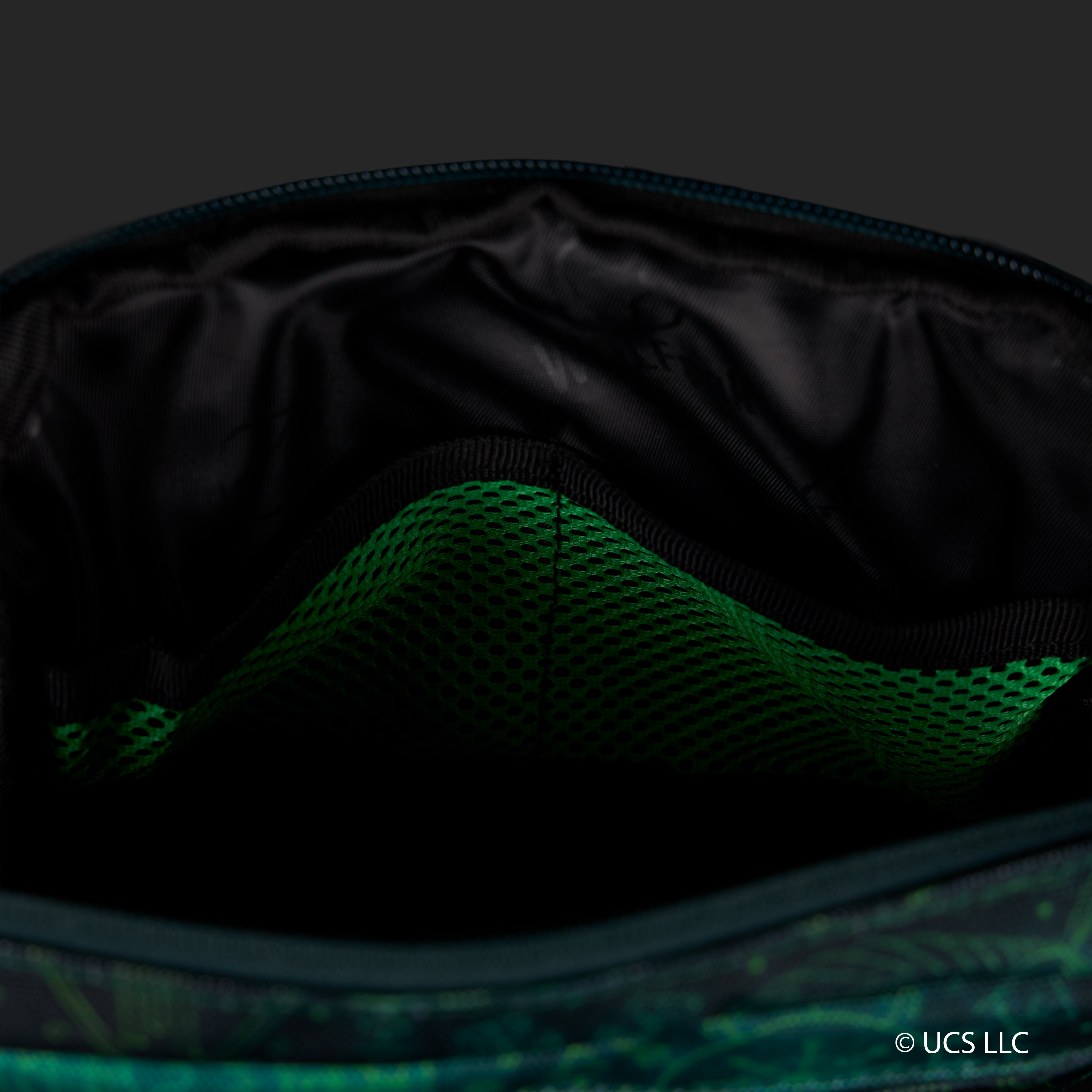 1.5L Crossbody Pack WICKED Elphaba