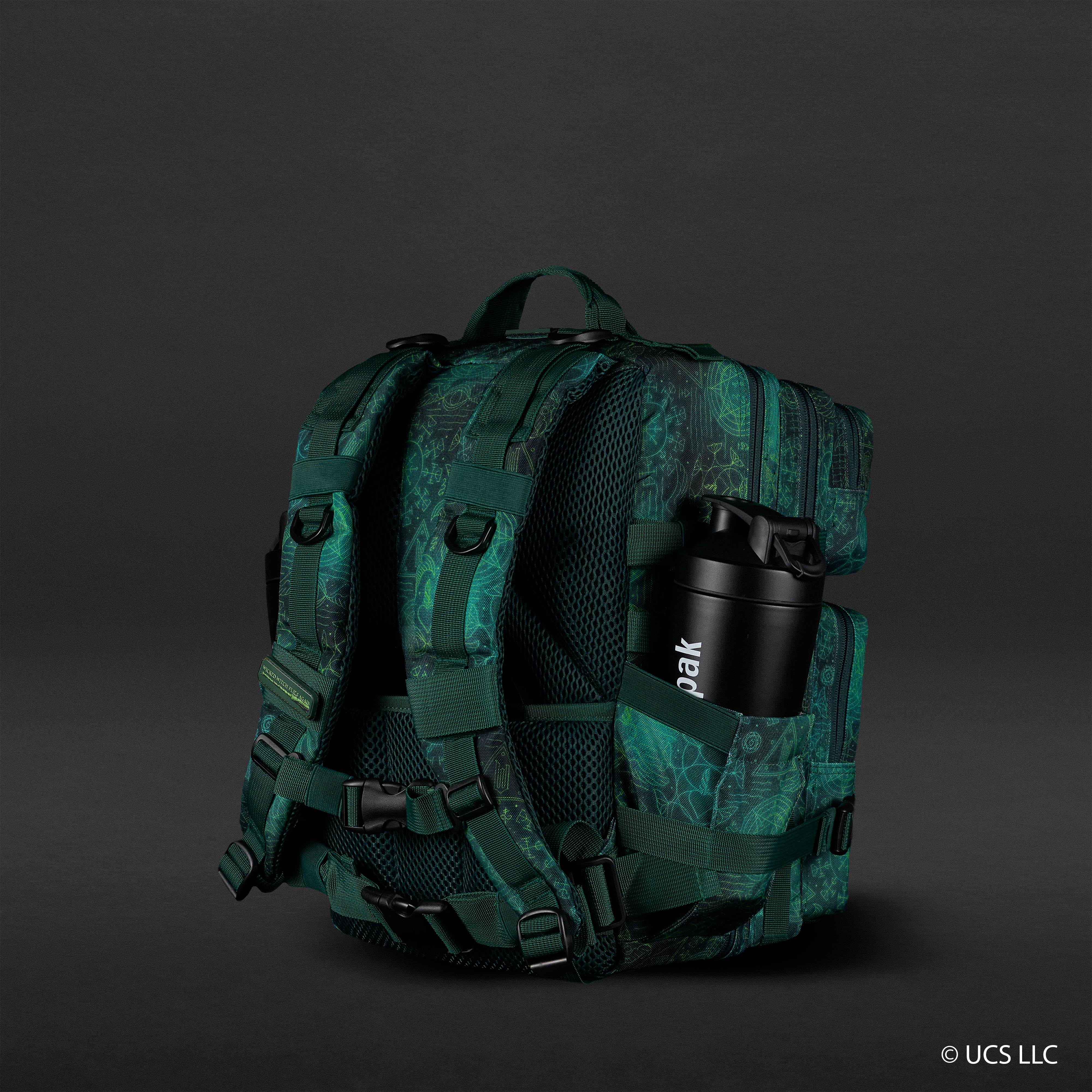 25L Backpack WICKED Elphaba