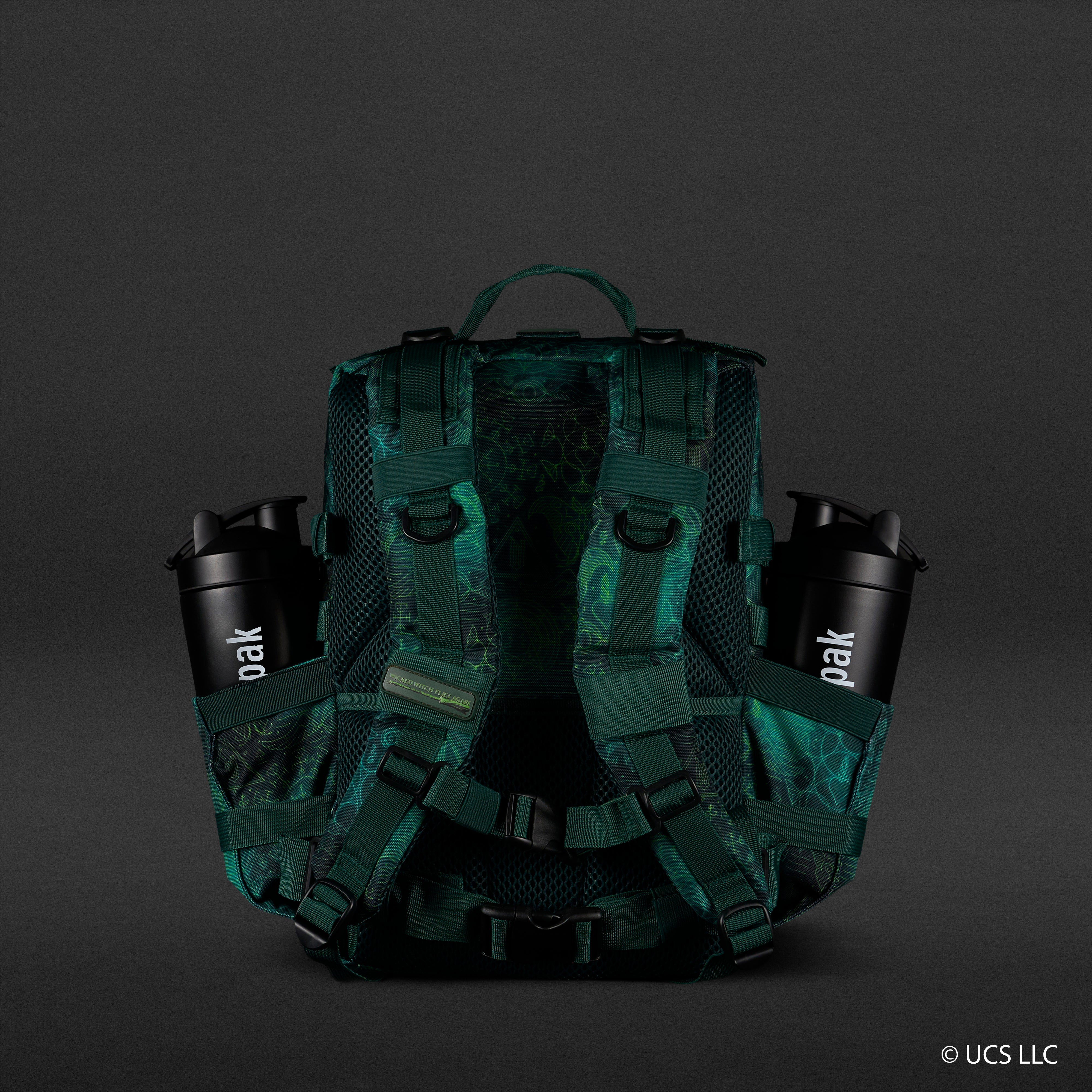 25L Backpack WICKED Elphaba