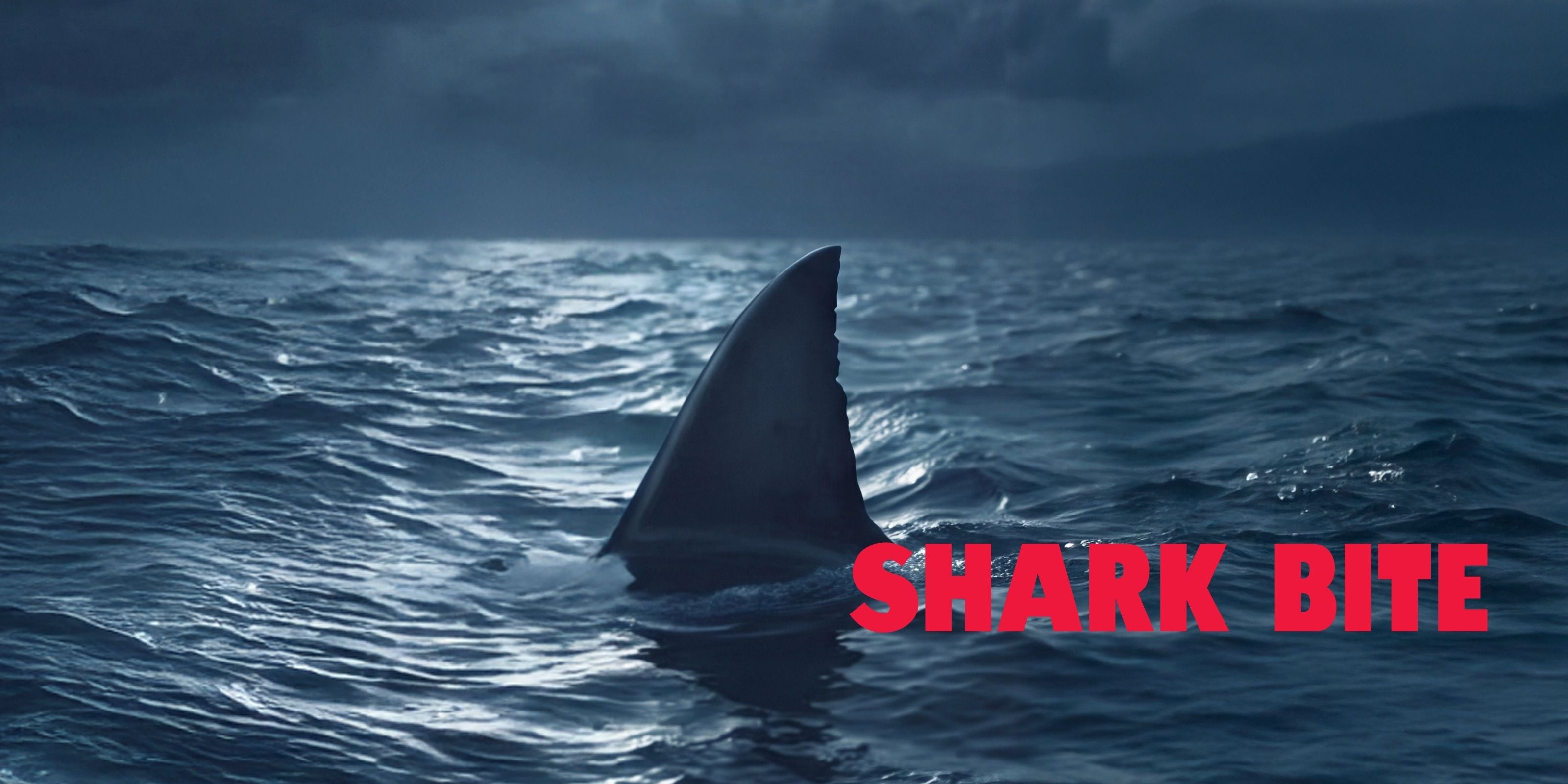 A dramatic dark ocean scene with a shark fin rising from the water under a stormy sky, with the red text 'SHARK BITE' overlaid on the lower right.