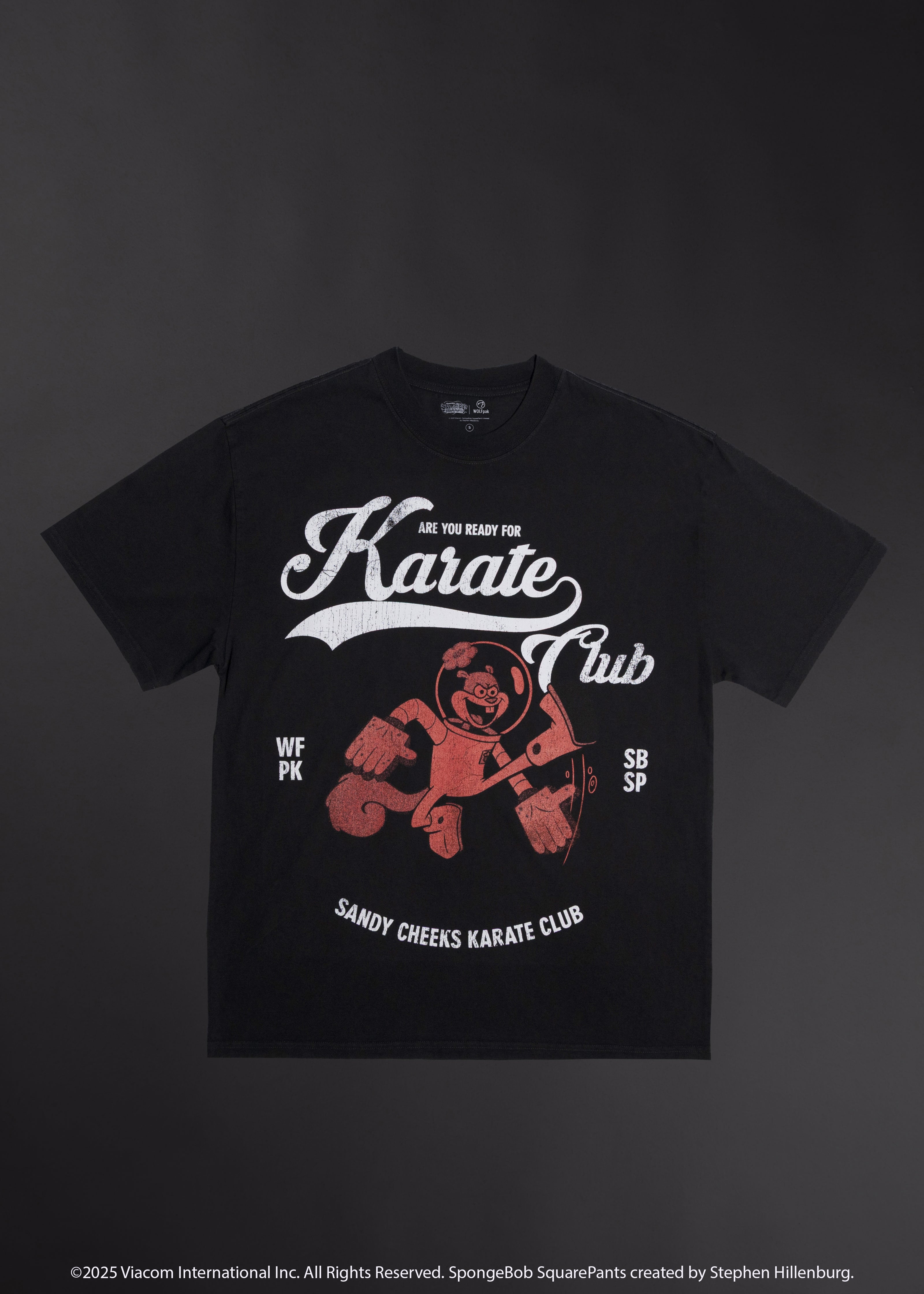 SpongeBob Karate Club Graphic T-Shirt PREVIEW