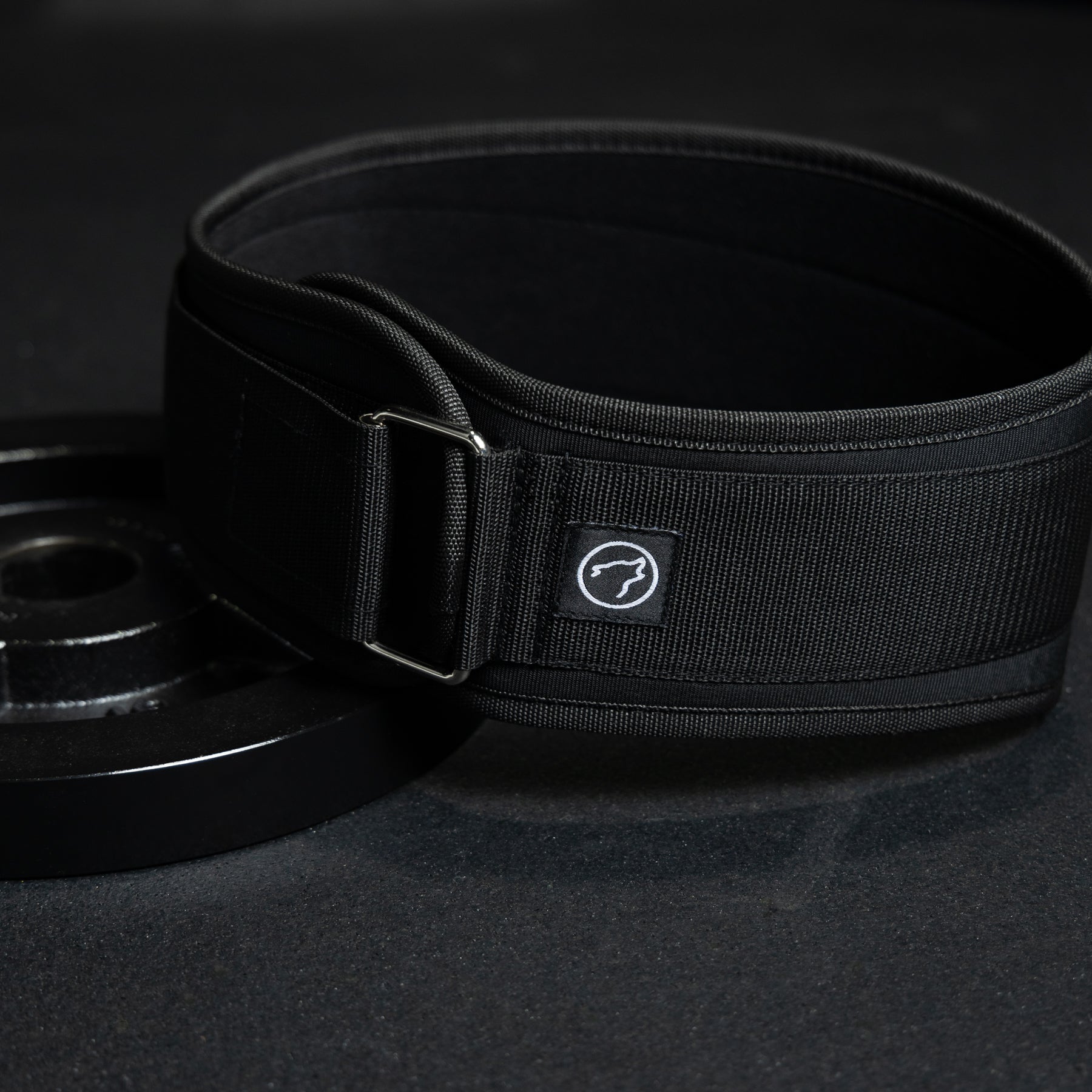 Lifting Belt