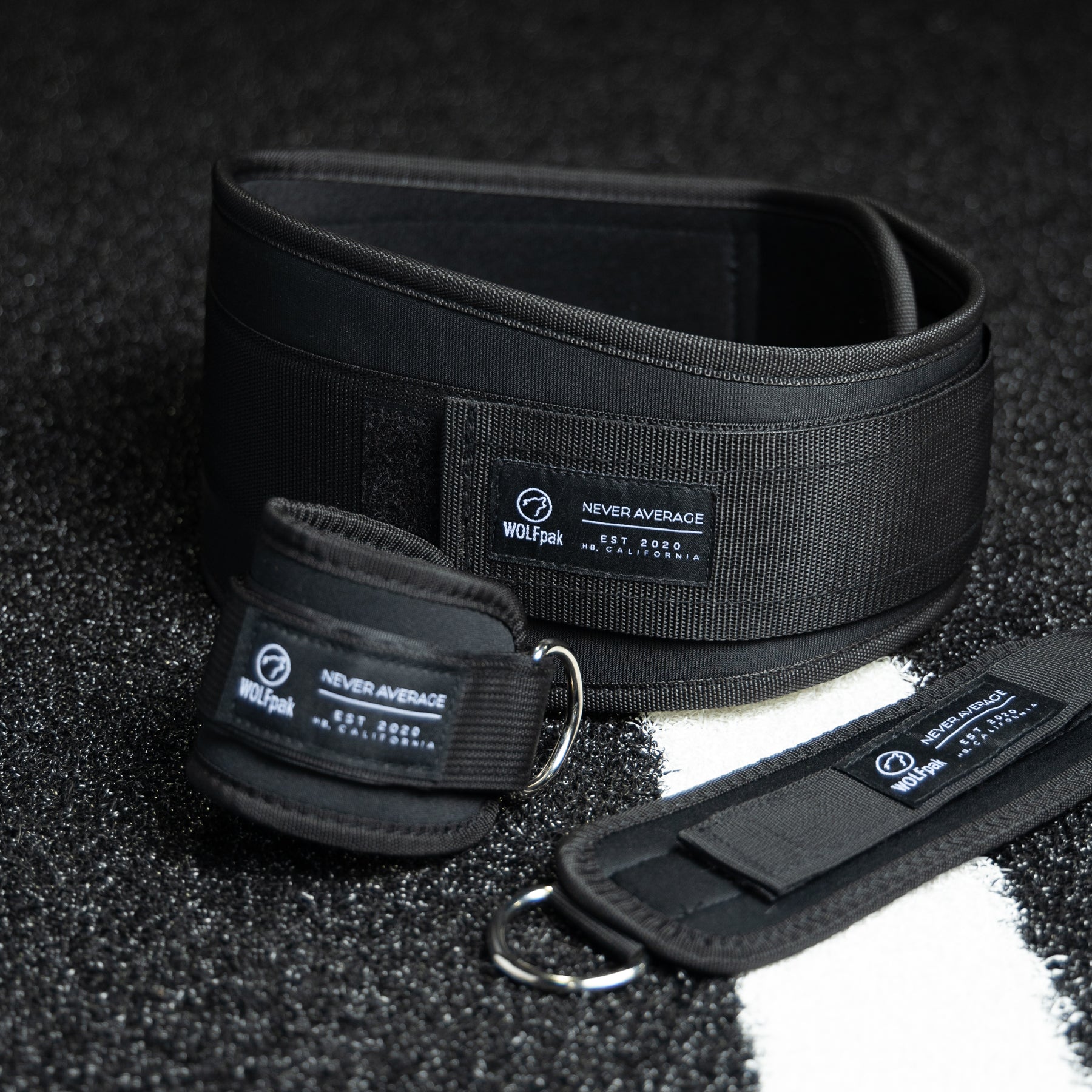 Lifting Belt