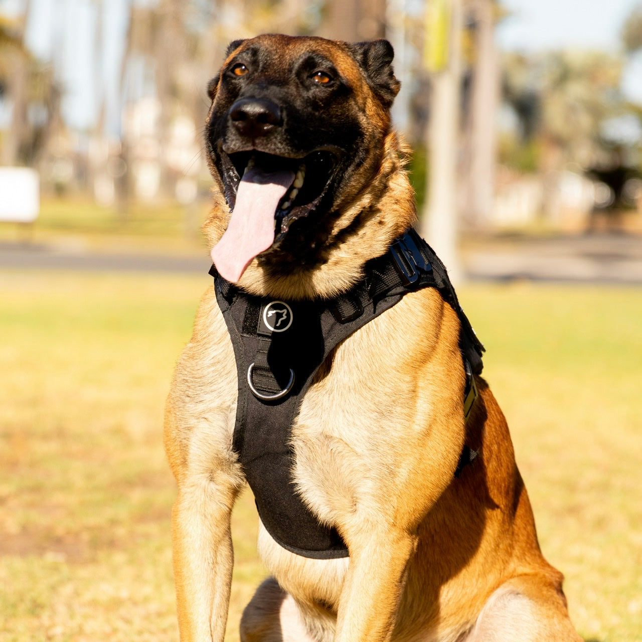 Alpha Black Tactical Dog Vest Harness